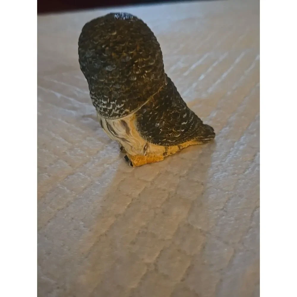 Pot‎ Belly Owls